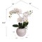 White Phalaenopsis Orchid Flowers in White Ceramic Vase by Floral Home&#xAE;